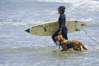 dog-saint-kat-surfing_0011 | by mikebaird