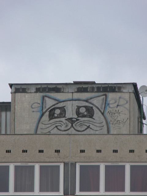 Macskagraffiti / Cat graffiti