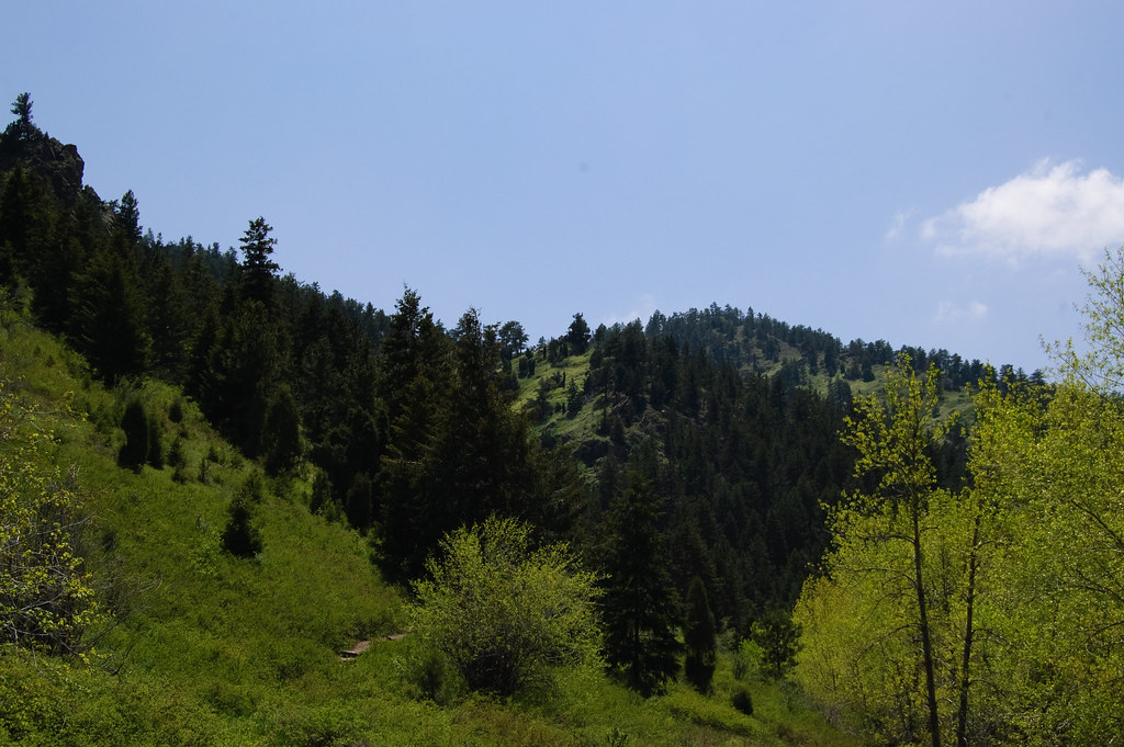 Mount Galbraith Summit Trail, near Birding for Beginners at Bethine Church River Trail — Golden Eagle Audubon