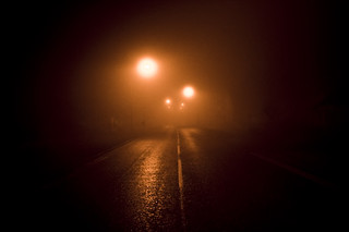 Foggy Morning | Dale Harvey | Flickr