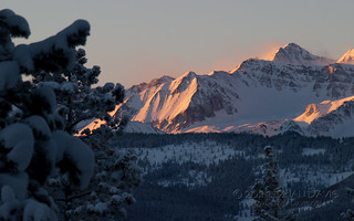 The summit of Castle Peak and the flanks of Electric Pass Peak in the glow of sunrise