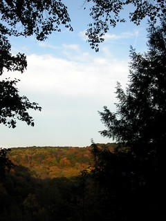 View across the Tinker's Creek Gorge
