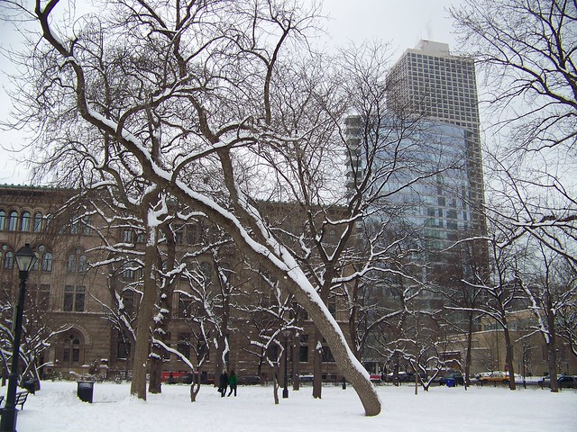 Bughouse Square in the Snow