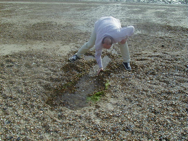 The West Mersea Spring