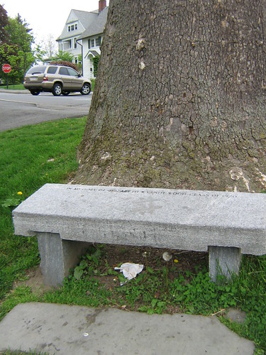 This is the bench my mom and I sat on