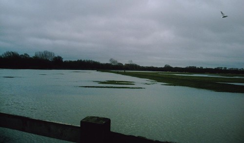 Book 1 Walk 13 (Oxford round) Flooded Port Meadow Wolvercote Oxfordshire. D.Allen Vivitar 5199mp