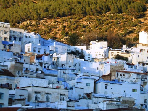 city blue houses sunset mountains climb town village morocco maroc chaouen chefchaouen steep rif genevievelepine