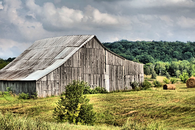 The old Kentucky barn