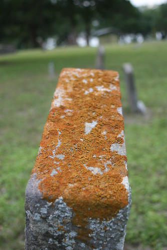 cemetery tombstone grave stone lichen orange dof depthoffield history historic historical independence texas tx canon eos 30d geotagged mapped location digital © copyright allrightsreserved© unauthorizeduseprohibited unauthorizedusestrictlyprohibited allcommercialuseprohibited allrightsreserved commercialusestrictlyprohibited