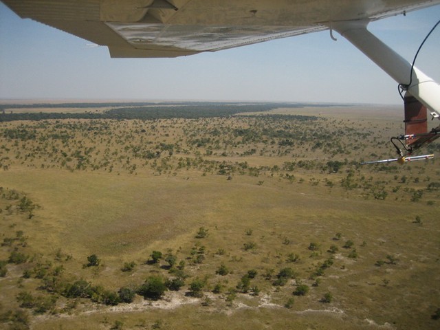 Liuwa Plain from the air