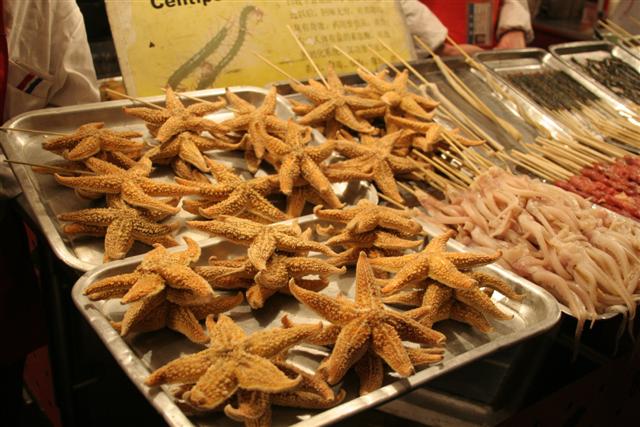 Fried Starfish