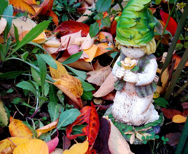 November Multicoloured Garden Images!! (4)