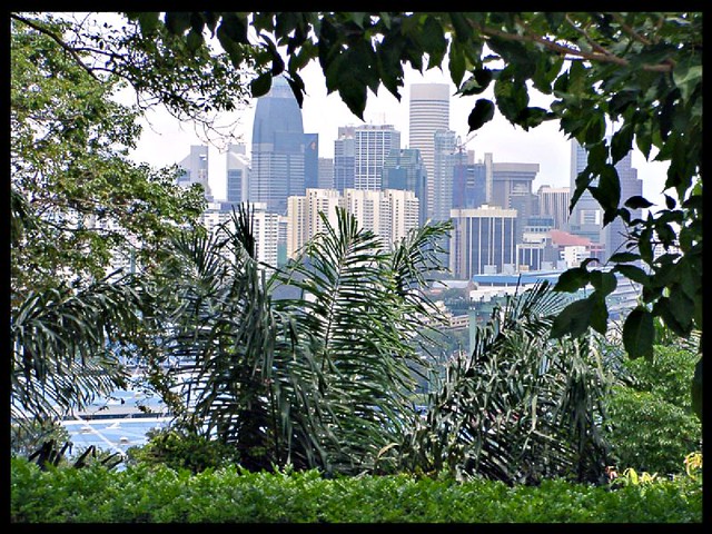 Singapore from Mount Faber