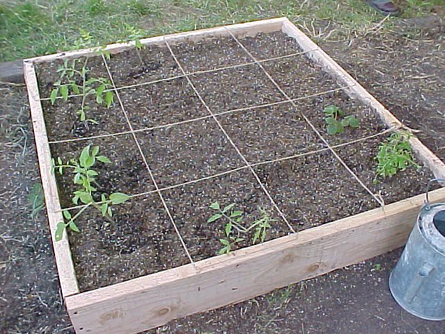 Square Foot Gardening Box This Is The First Iteration Of T Flickr