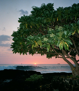Hawaii sunset sq
