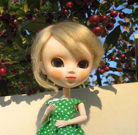 Custom Pullip Withered