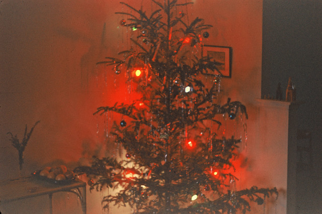 Bronx Christmas Tree 1956