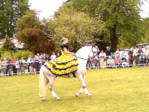 Heanor Carnival | by Mystic Horsemen Stunt Team
