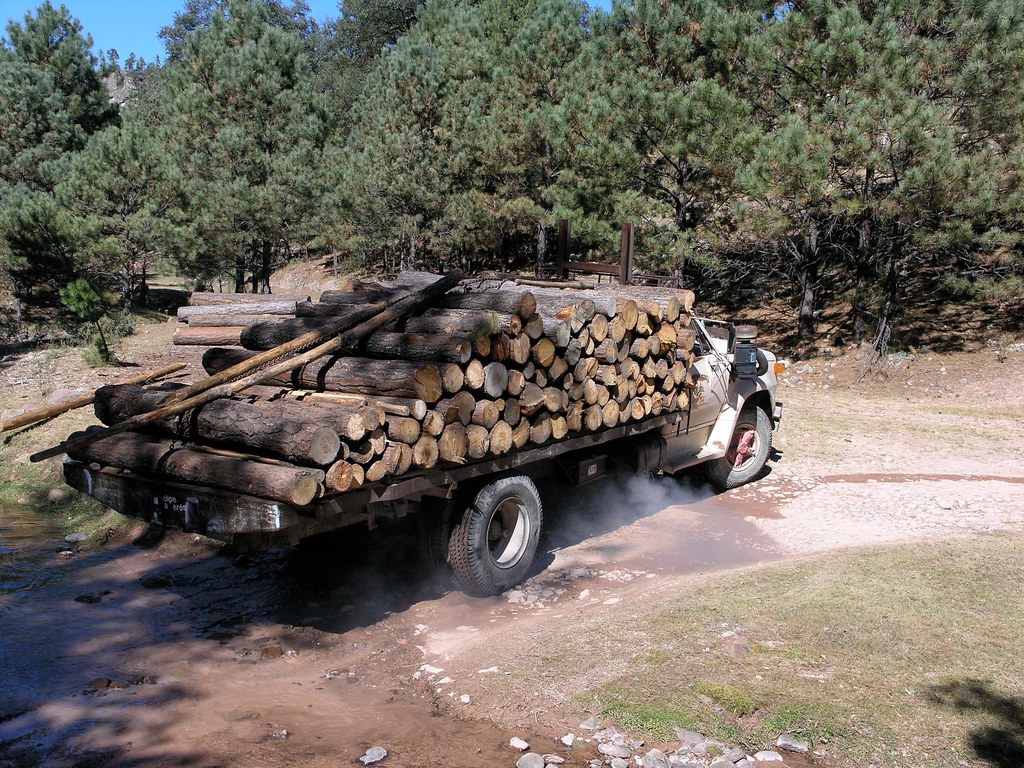 Cargando un camión con madera; Sierra Tarahumara; entre Ba