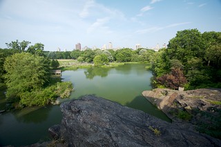 Central Park from the Turtle Pond | New York City | Buzz Andersen | Flickr