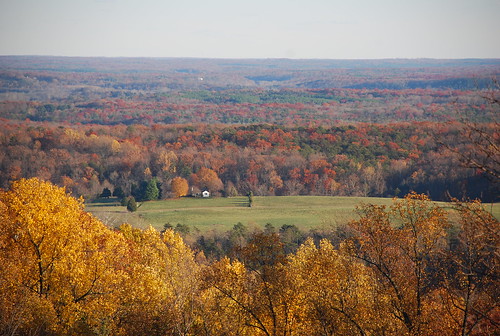 favorite art fall foliage fourseasons charlottesville monticello