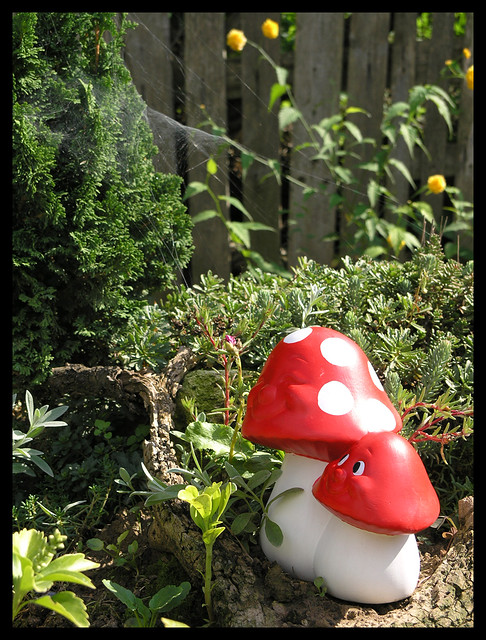 Smiling mushrooms in the garden
