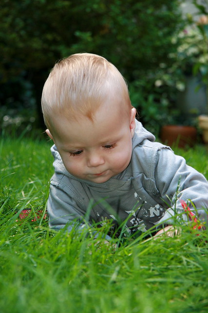 Little nick playing in the grass
