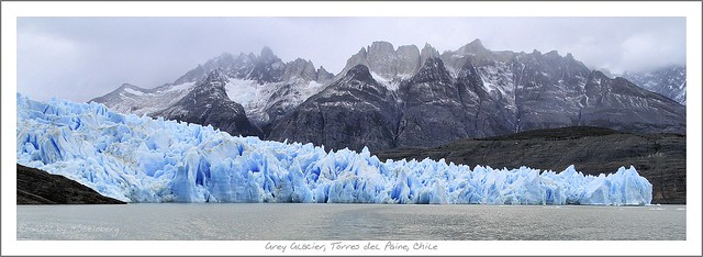 Grey Glacier Panorama