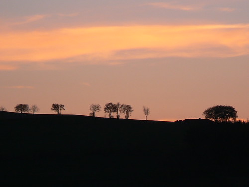 Sunset im Sauerland by m-kuhn, trees sunset landscape sonnenuntergang landschaft bäume farben sauerland naturebeauties