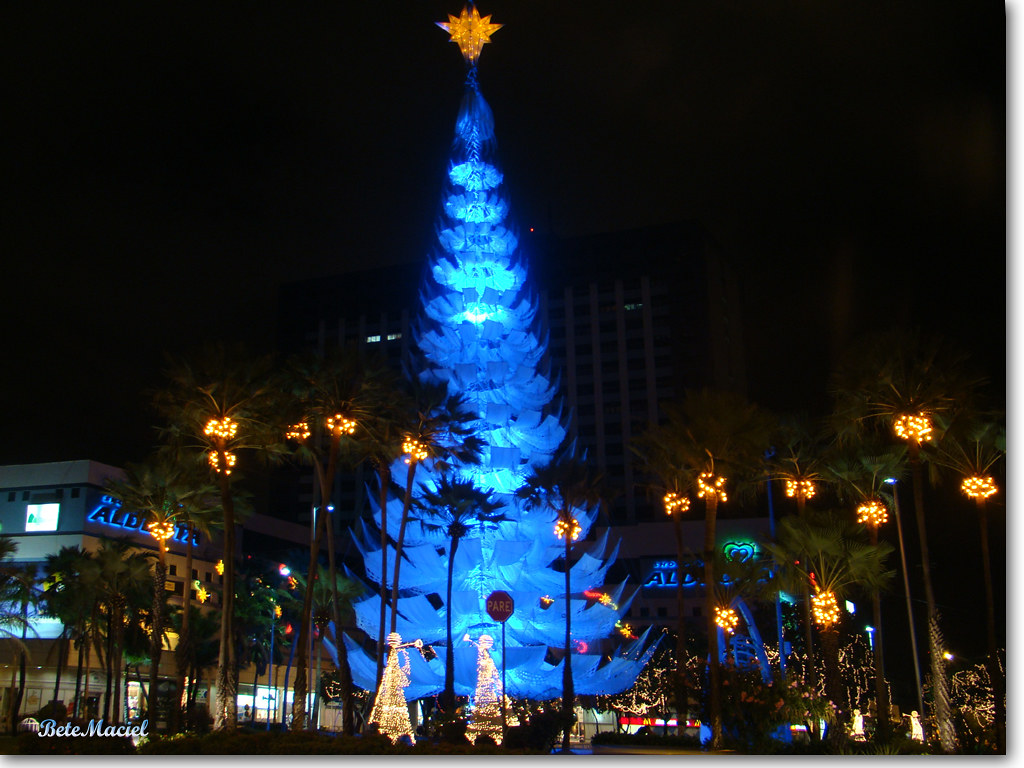 Praça Portugal em Fortaleza | Árvore de Natal feita de redes… | Flickr