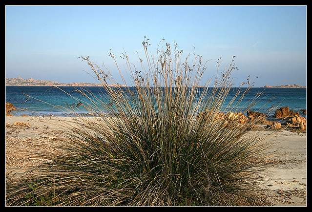 Sardegna. Spiaggia del Principe