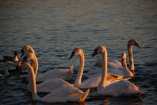 foto di gruppo