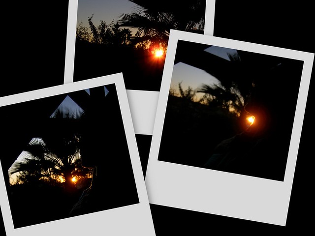 Collage of Sunset