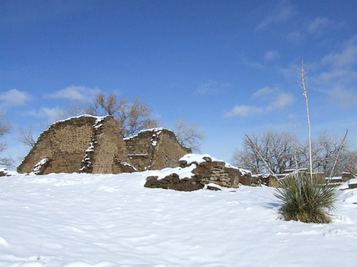 snow plant newmexico ruins aztec room pueblo prehistoric yucca aztecruins aztecruinsnationalmonument