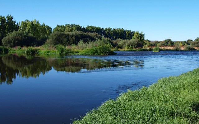 Río Alagón. Coria. Extremadura