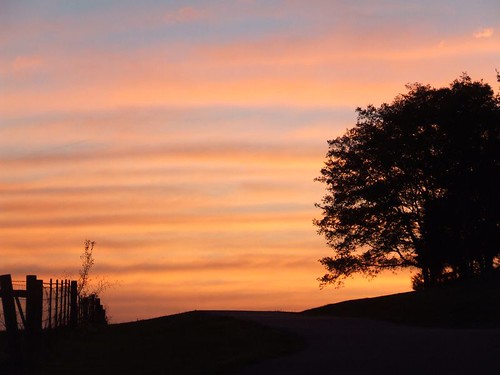 road light sunset sun tree clouds fence landscape