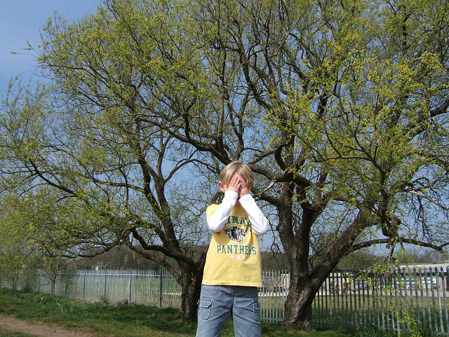 "Oh no, the trees promised they wouldn't blossom in yellow like my t-shirt"