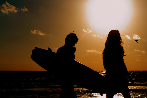 ocean bird beach silhouette sunrise florida surfer atlantic jacksonville