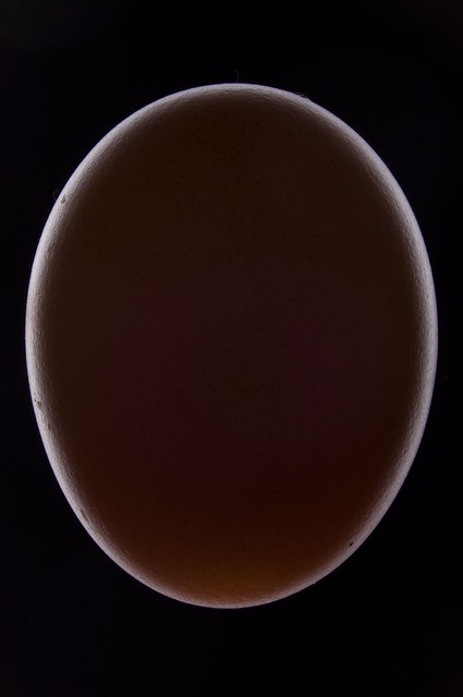 Total eclipse of the egg