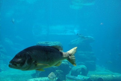 uShaka Marine World