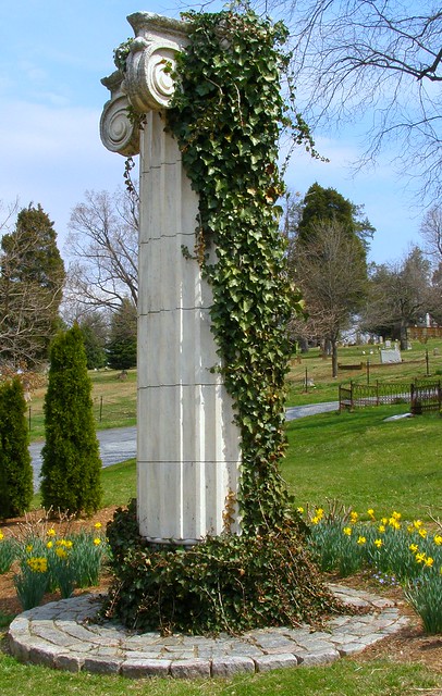 Old City Cemetery:  The Marble Column