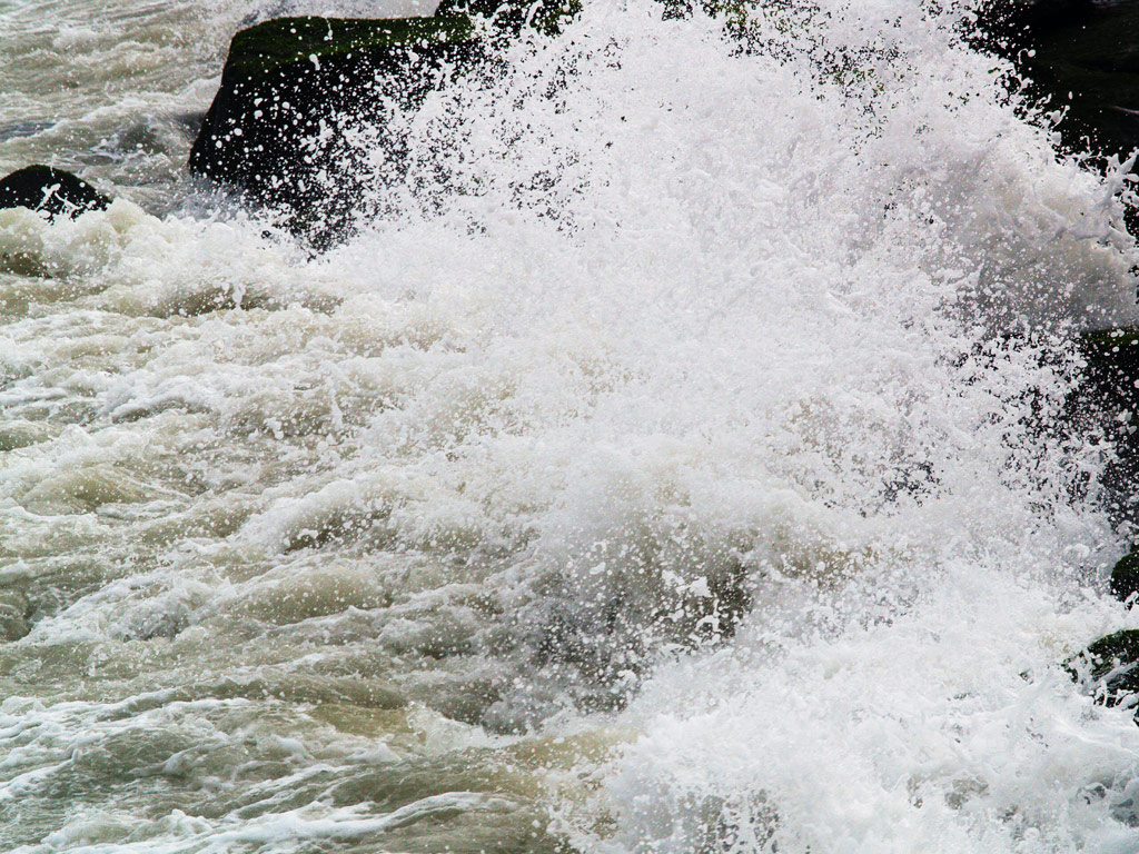 Ocean Spray