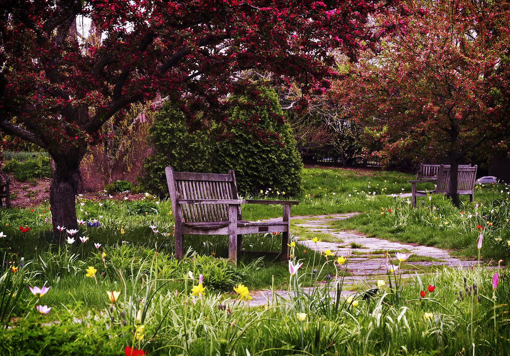 Olbrich Gardens Spring Afternoon Enjoying A Nice Leisurely Flickr