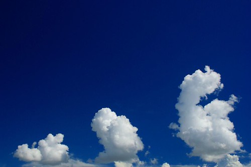 Three Degrees of Fluffiness | by cmiguel