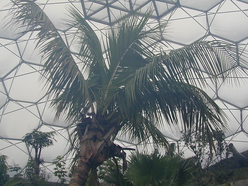 Eden Project | by anachrocomputer