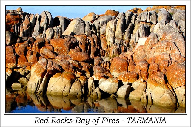 Red Rocks - Bay of Fires - TASMANIA