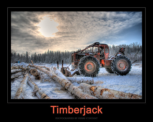 Timberjack by Pierre Contant