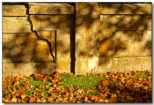 autumn light shadow fall texture leaves wall moscow crack idaho palouse