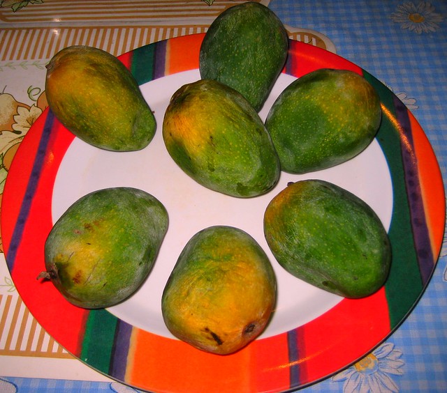 Join me for a mango feast!