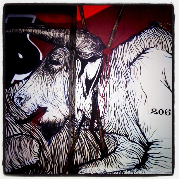 2060 Bull